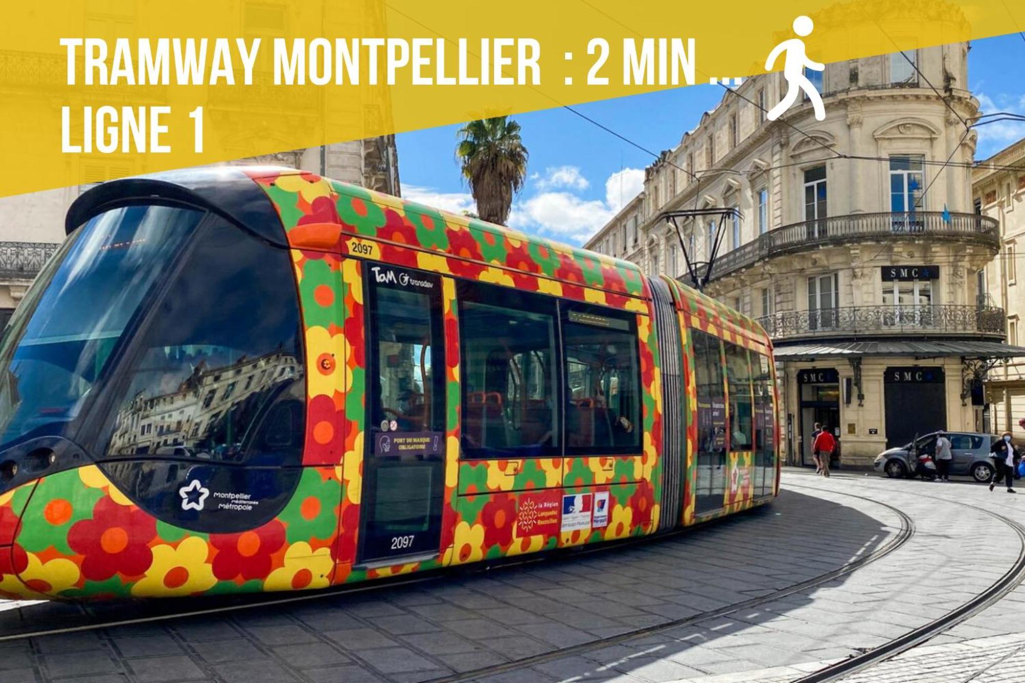 Le Chapeau Rouge - Centre Historique - Corum - Tramway - Climatisation مونبيلييه المظهر الخارجي الصورة